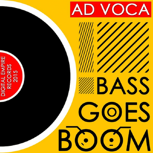 Bass Goes Boom (Original Mix)