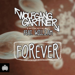 Forever (Hook 'N' Sling Remix)
