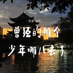 曾经的那个少年哪儿去了