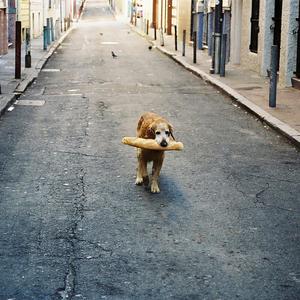 Lost in the Heavens (feat. Lorine Chia)