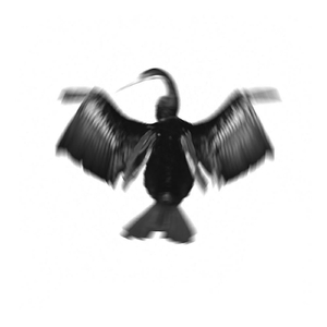 Come Closer, Come Nearer