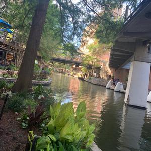 Escape The Void (feat. SLXMPED)