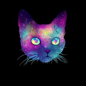 [Free]“Blood Time”-Drill