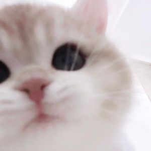 ㅤ