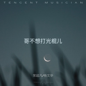 哥不想打光棍儿 (DJ光波版|DJ 光波版)