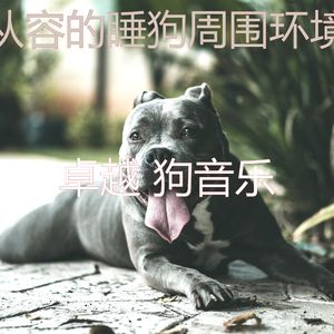 微妙的训练你的狗心情