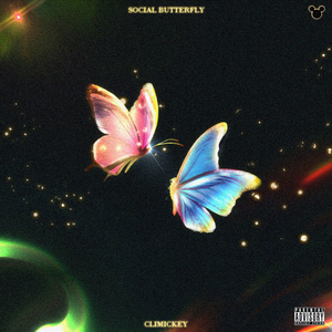 社交蝴蝶