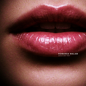 Romansa Malam