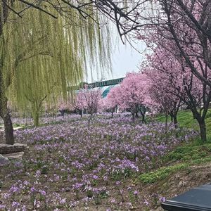 后来的风不在是你