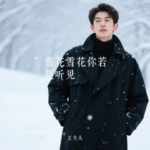 雪花雪花你若是听见