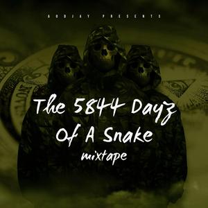 5844 days of a snake