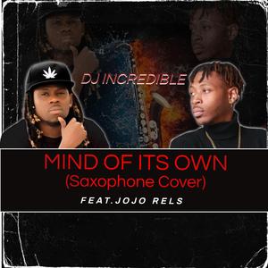 Mind of its own (feat. Jojo Rels) (Saxophone cover)