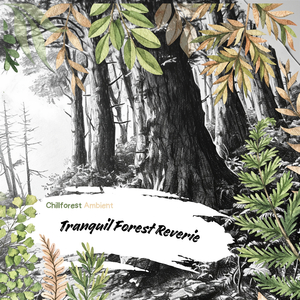 Established (Forest Sounds)