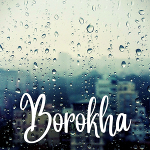 Borokha