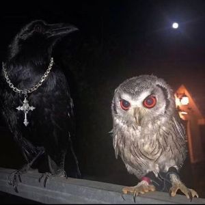 我会陪着你不管晴天还是雨天