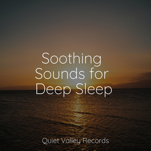Ambient Music for Stress Relief