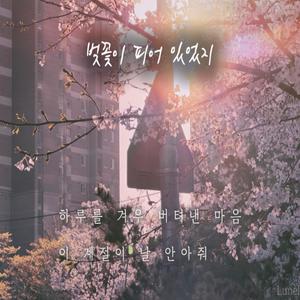 벚꽃이 피어 있었지