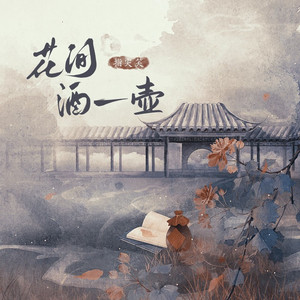 花间酒一壶dj版