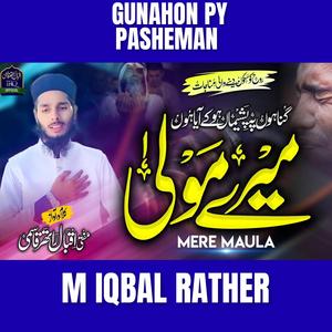 Gunahon py pasheman ho k aaya hon