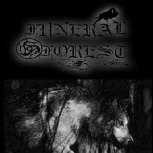 Under The Full Moon Light