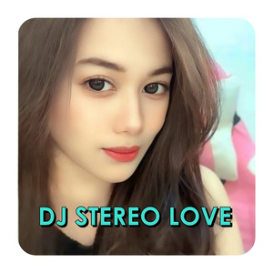 DJ STEREO LOVE