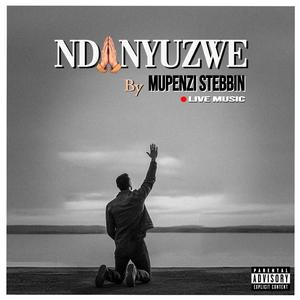 Ndanyuzwe