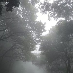 puzzle deeo be con fused (谜底 迷失)