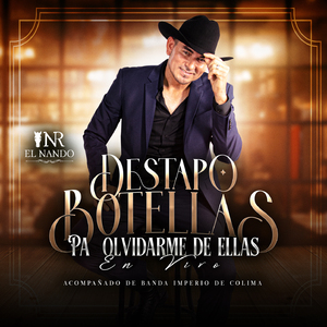 Fuimos Amantes (En Vivo)