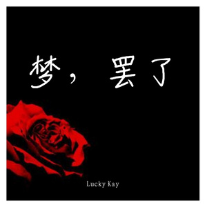梦，罢了
