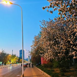 陌上花开红妆泪