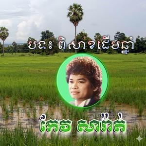 ពិសាខដើមឆ្នាំ