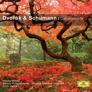 Cello Concerto in A Minor, Op. 129:III. Etwas lebhafter