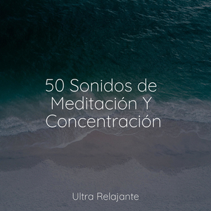 Paisajes De Ensueño De Flores