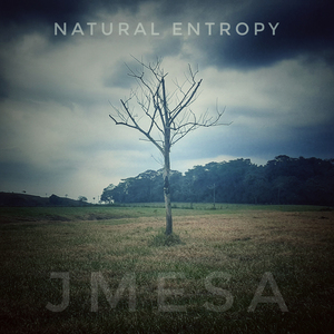 Natural Entropy
