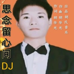 思念留心间DJ