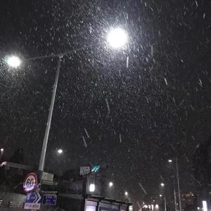 我爱你（翻自 贺仙人）