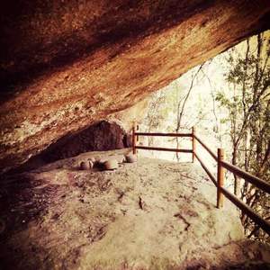 招隐（据《神奇秘谱》，牧鹅打谱 | 古琴独奏）