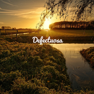 Defectuosa