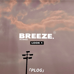 清平乐·别来春半(翻唱）