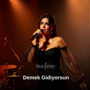 Demek Gidiyorsun