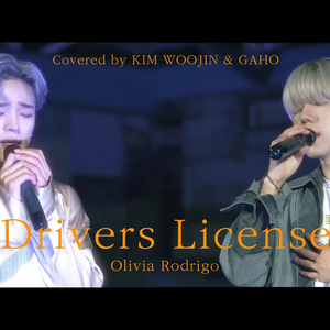Drivers License (Cover)