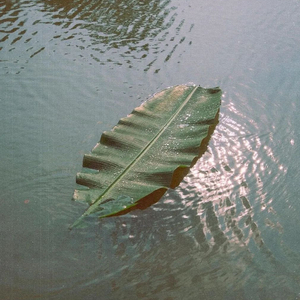 20260116 单行道mix1.wav