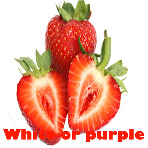 Papa Was a Rolling Stone