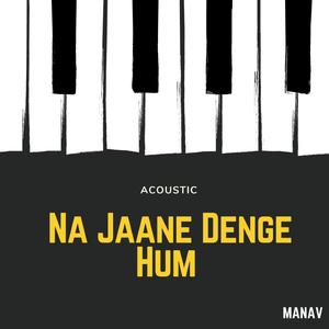 NA JAANE DENGE HUM (ACOUSTIC)