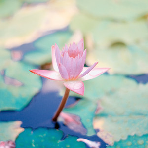 指尖流光