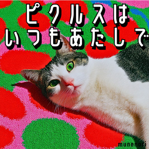 ピクルスはいつもあたしで