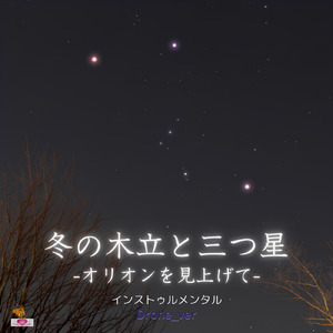 冬の木立と三つ星 -オリオンを見上げて- (Drone_ver)