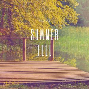 Summer Feel (feat. Villiamz)