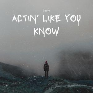 Actin' Like You Know (feat. mylowX3)