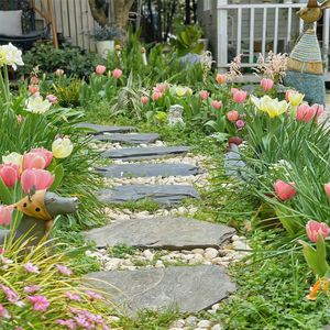 生活像个圆圈不完